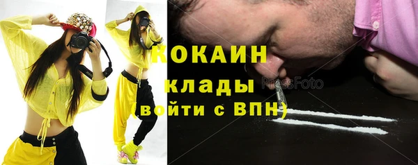 сатива Покачи