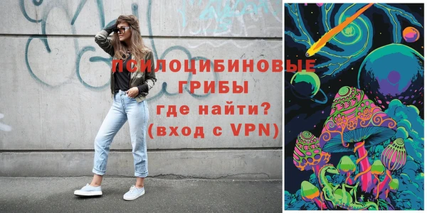 spice Пестово