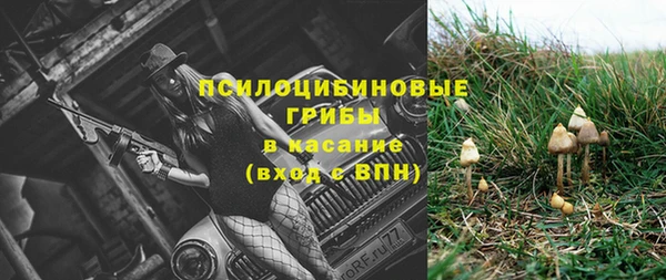 spice Пестово