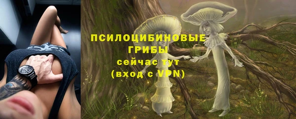 мдма Переславль-Залесский